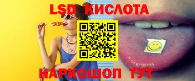 мяу мяу мука Краснознаменск