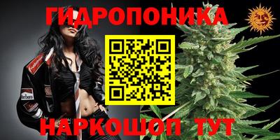 мяу мяу мука Краснознаменск